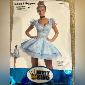 Adult Cinderella dress